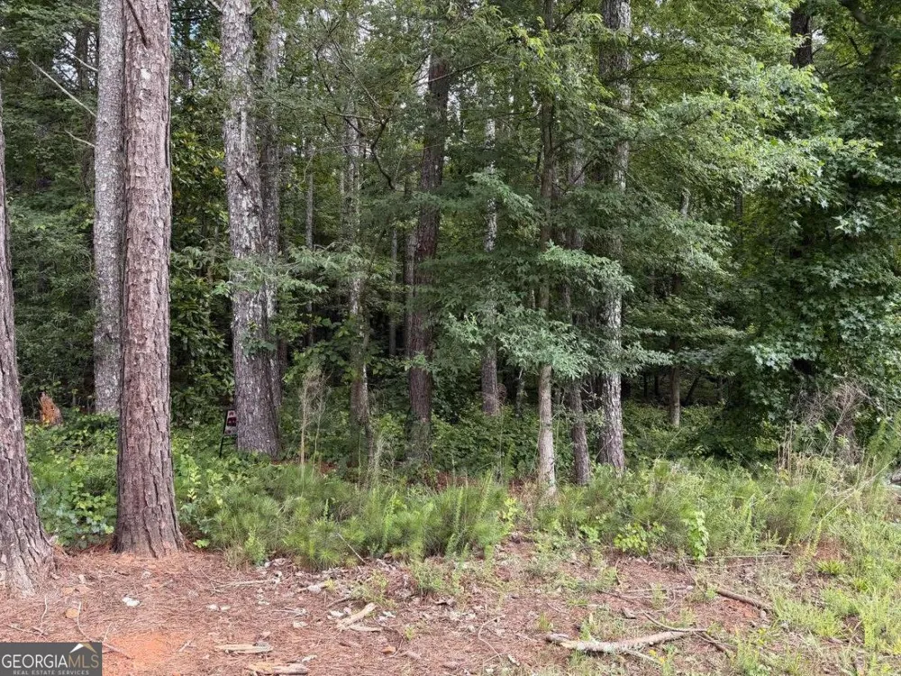 0 Maddox Hoschton, GA 30549