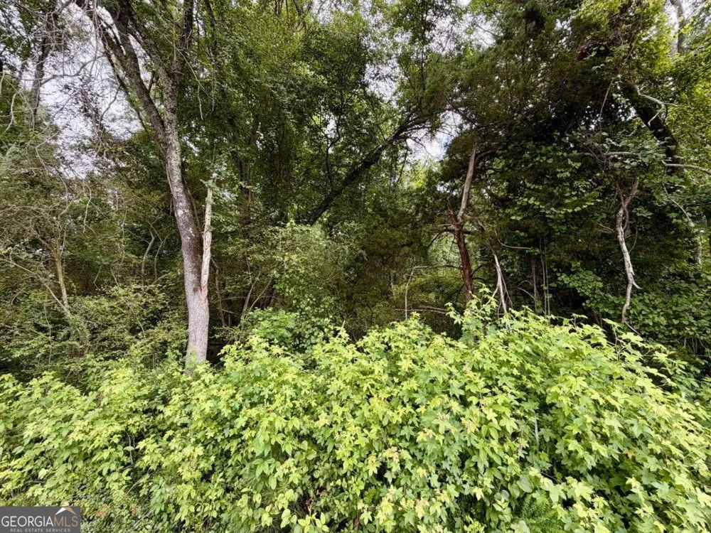 0 Maddox Hoschton, GA 30549