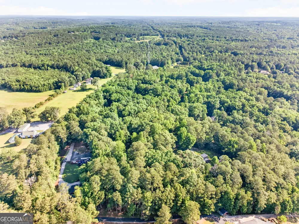 20 Tabor Forest DR Oxford, GA 30054