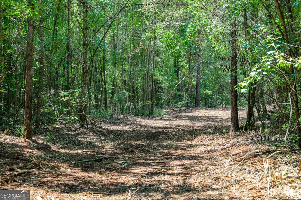 1 Fern ST Edison, GA 39846