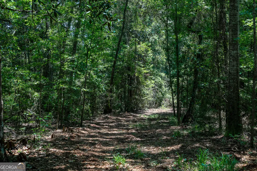 1 Fern ST Edison, GA 39846