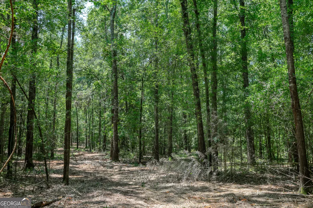 1 Fern ST Edison, GA 39846