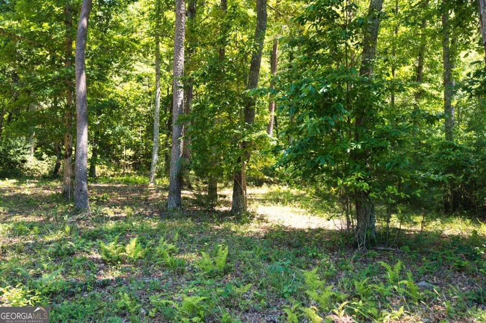 LOT 35 Hidden HBR Blairsville, GA 30512