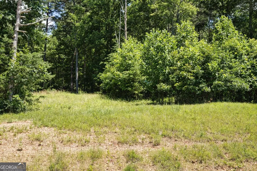 LOT 35 Hidden HBR Blairsville, GA 30512