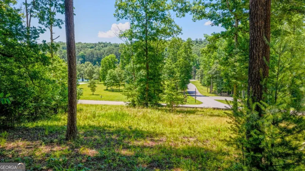 LOT 35 Hidden HBR Blairsville, GA 30512