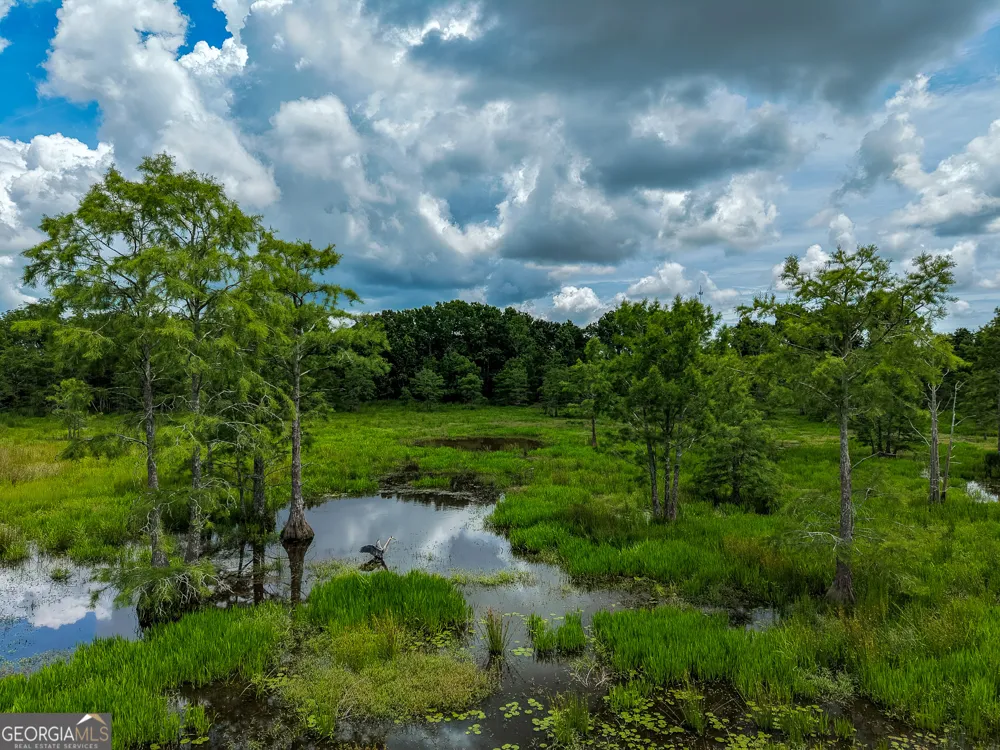 1 Haynes RD Edison, GA 39846