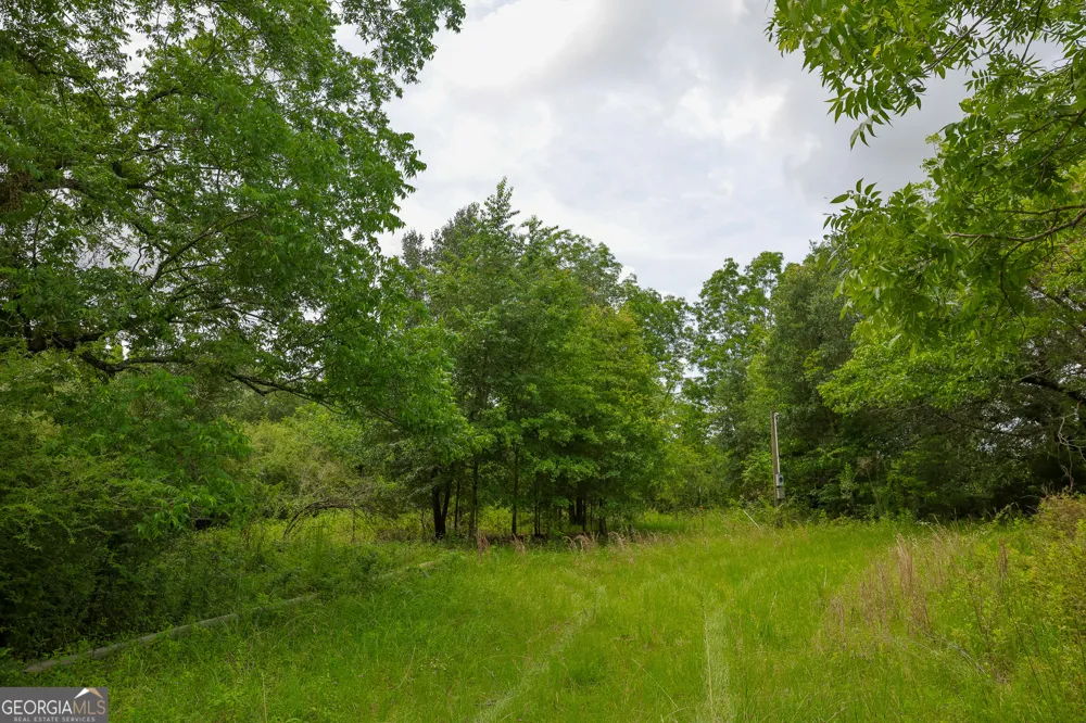 1 Haynes RD Edison, GA 39846