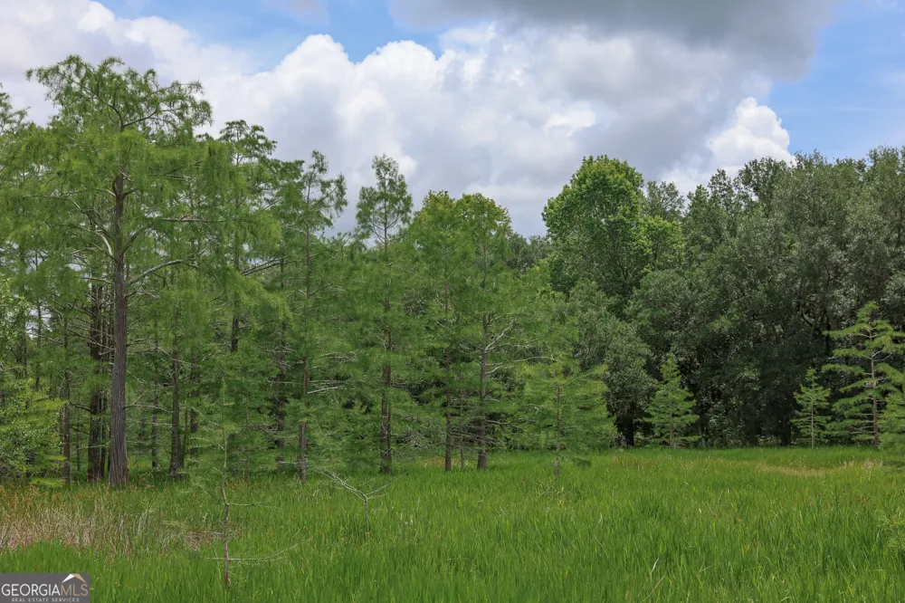 1 Haynes RD Edison, GA 39846