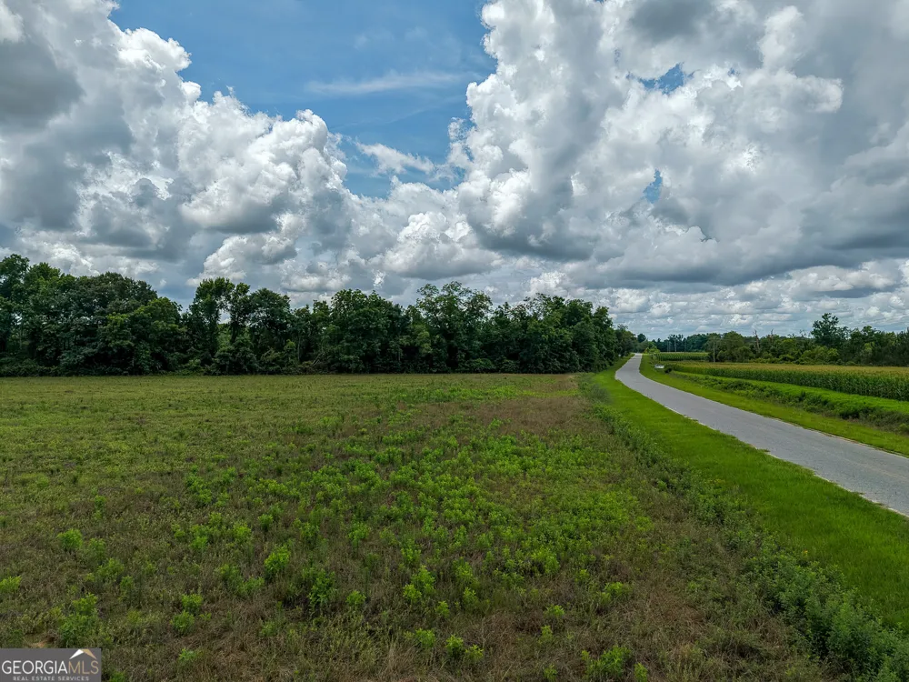 1 Haynes RD Edison, GA 39846