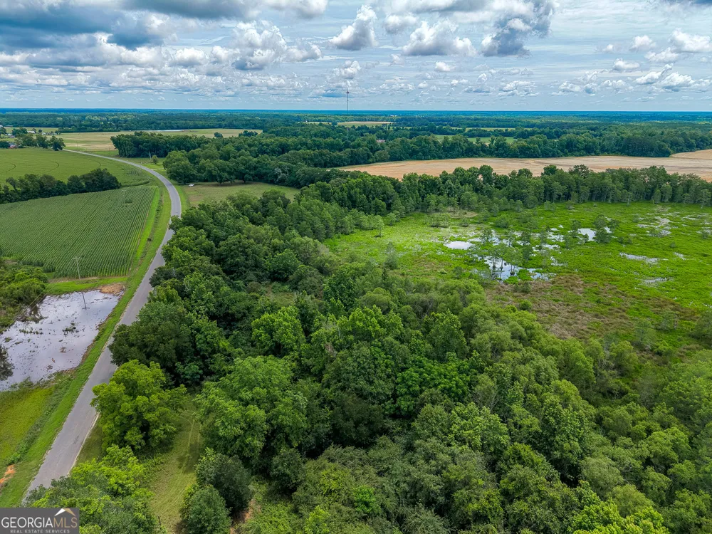 1 Haynes RD Edison, GA 39846