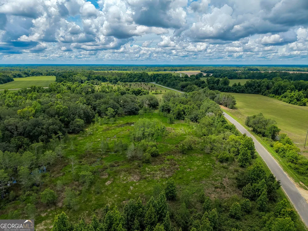 1 Haynes RD Edison, GA 39846