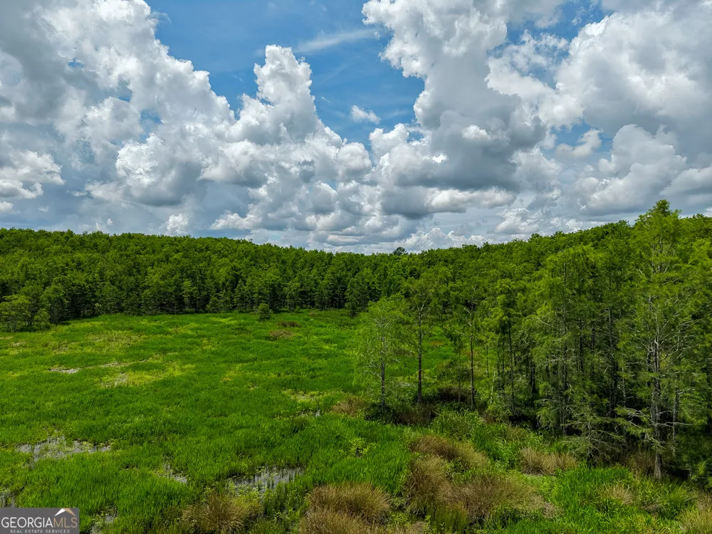 1 Haynes RD Edison, GA 39846