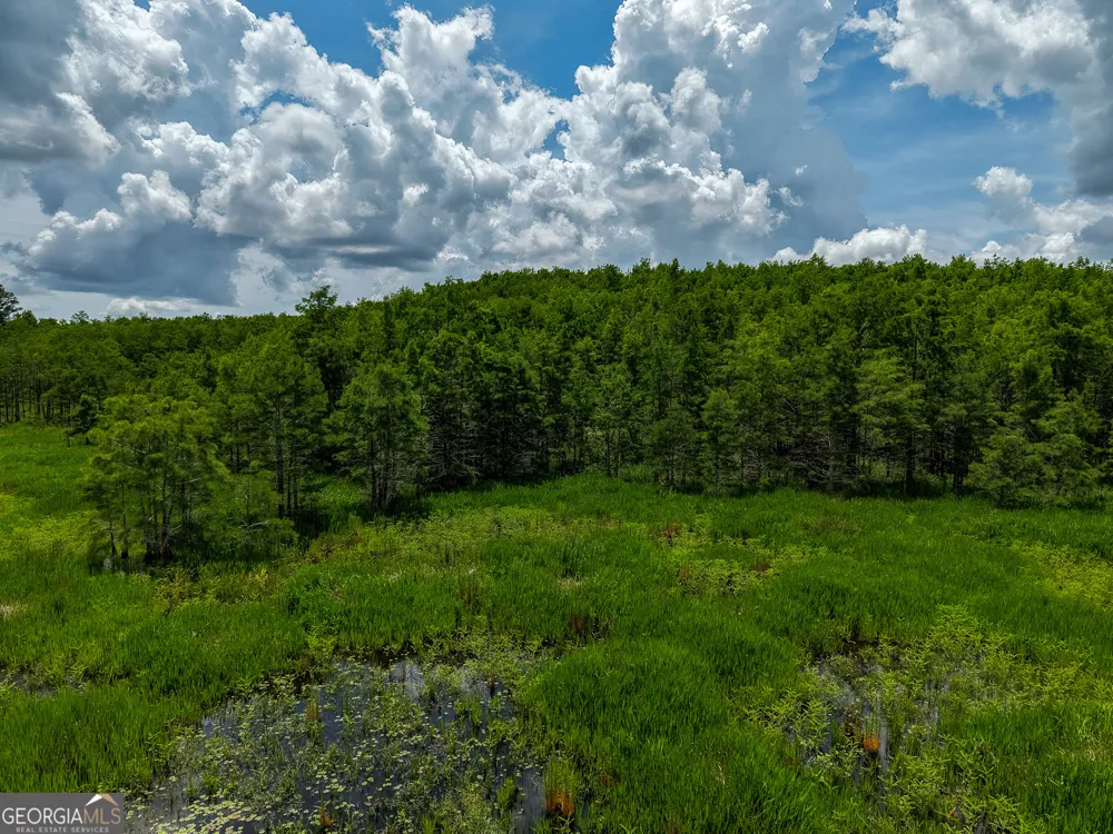 1 Haynes RD Edison, GA 39846