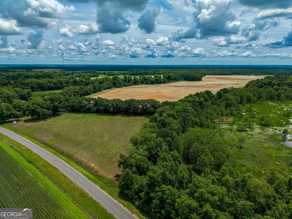 1 Haynes RD Edison, GA 39846