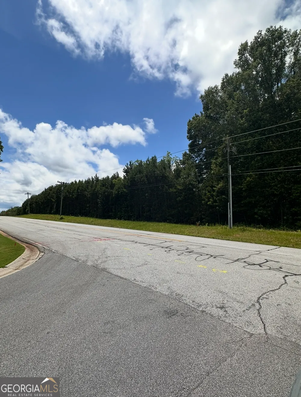 0 Bob Smith RD Sharpsburg, GA 30277