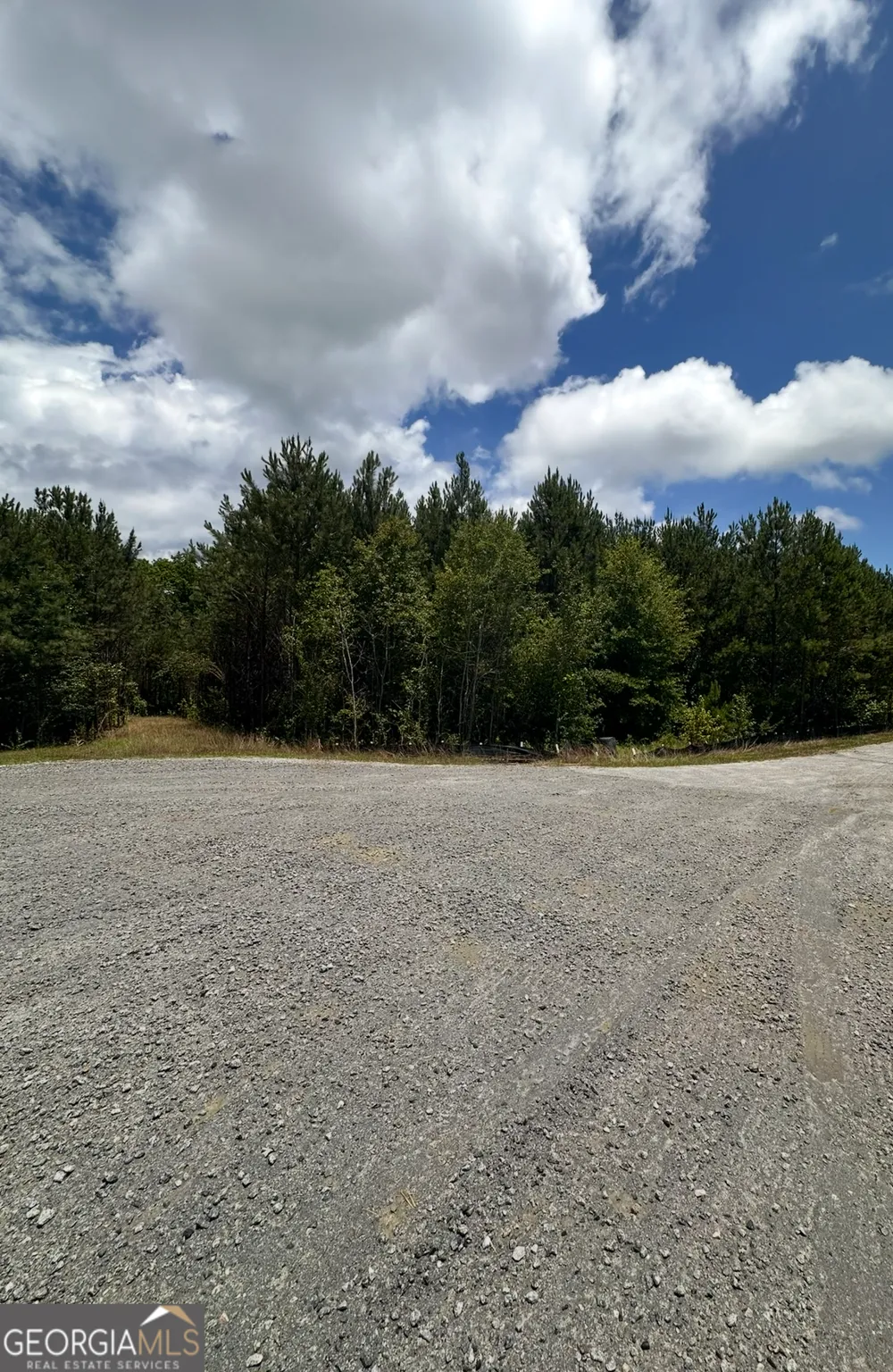 0 Bob Smith RD Sharpsburg, GA 30277