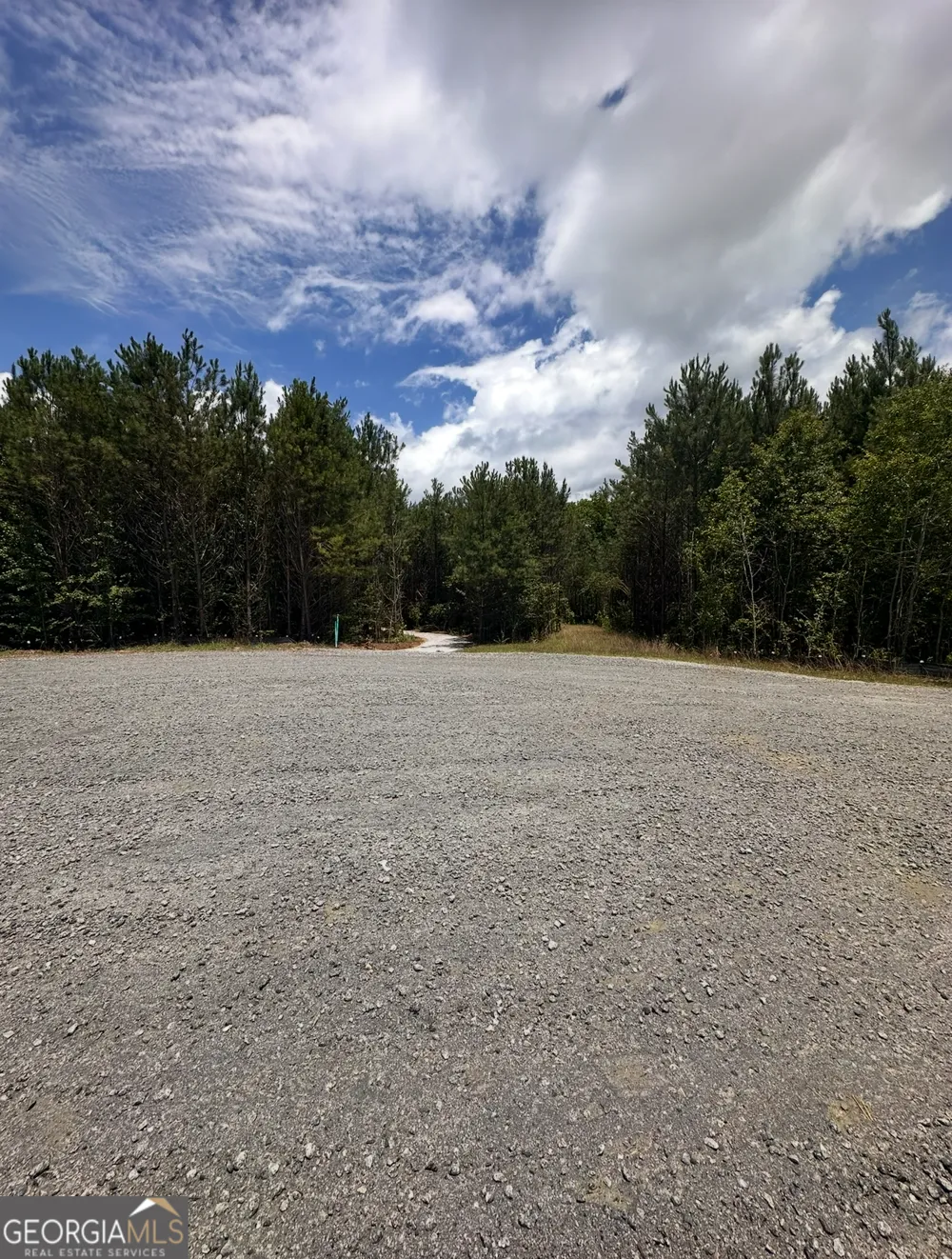 0 Bob Smith RD Sharpsburg, GA 30277