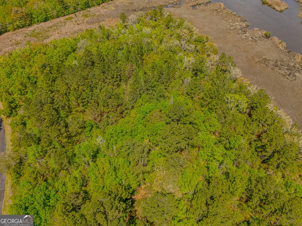 LOT 45 Matthews Launch White Oak, GA 31568