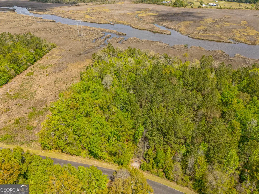 LOT 45 Matthews Launch White Oak, GA 31568