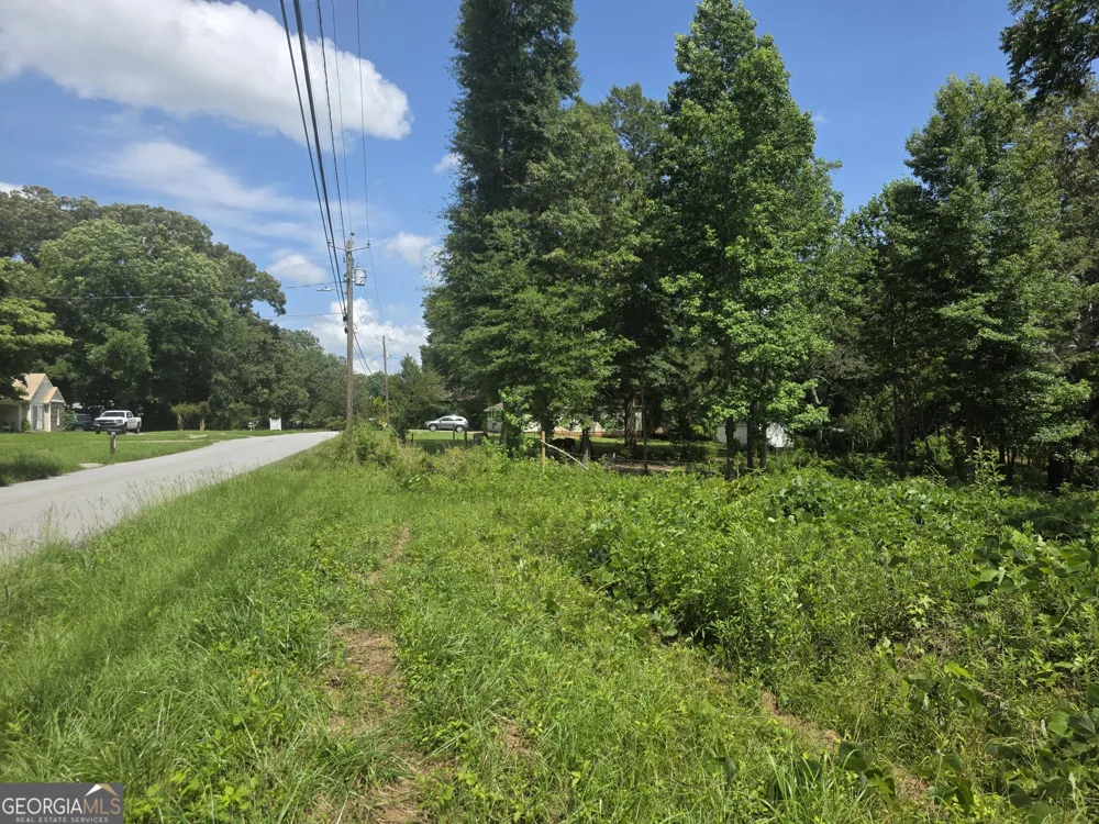 0 W Atlanta St Off Tallapoosa, GA 30176