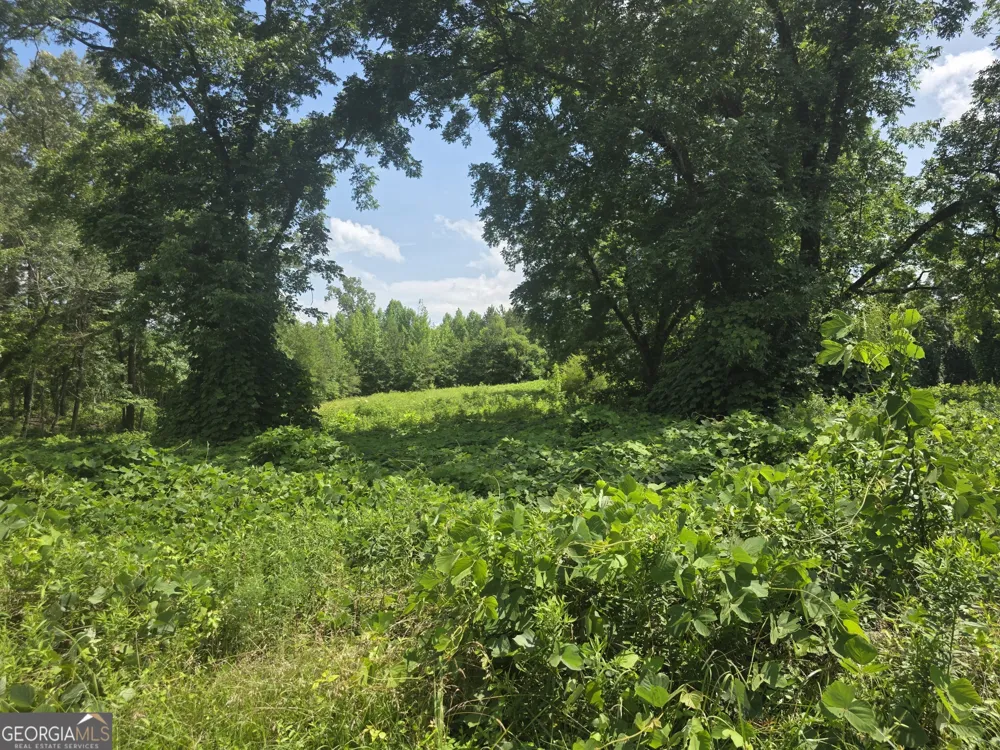 0 W Atlanta St Off Tallapoosa, GA 30176