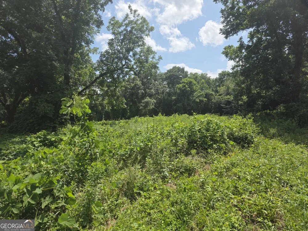 0 W Atlanta St Off Tallapoosa, GA 30176