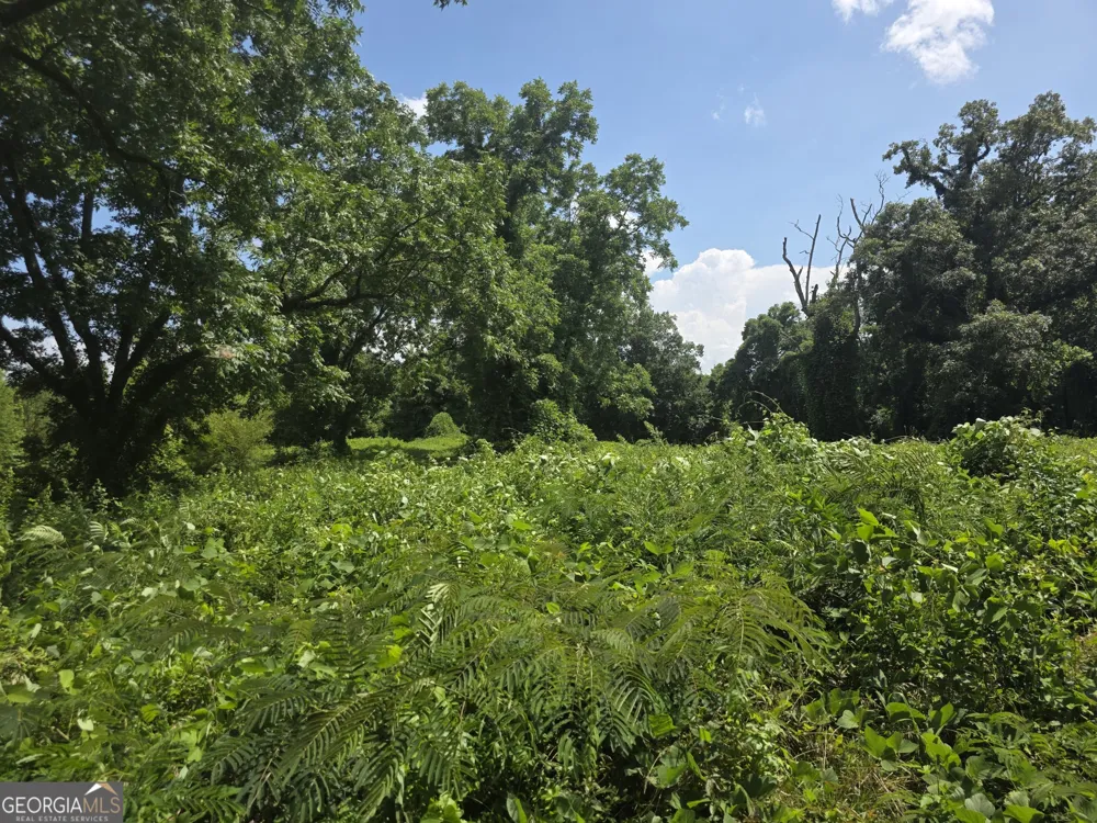 0 W Atlanta St Off Tallapoosa, GA 30176