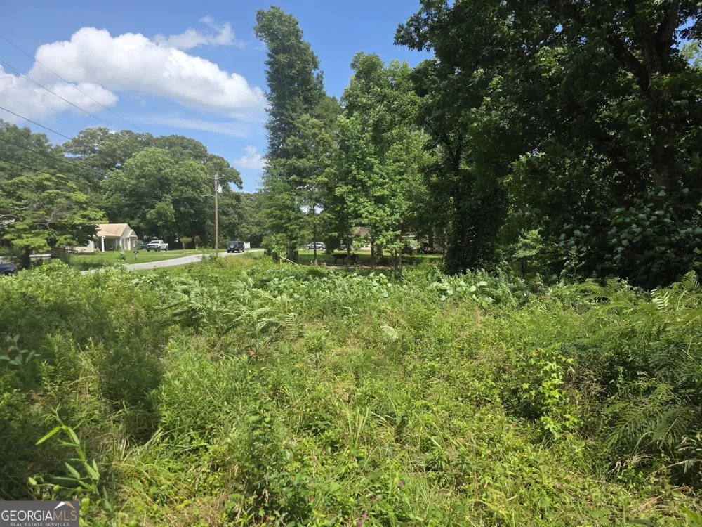 0 W Atlanta St Off Tallapoosa, GA 30176