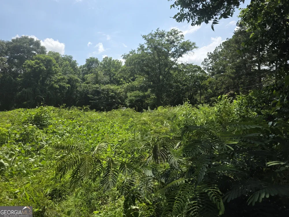 0 W Atlanta St Off Tallapoosa, GA 30176