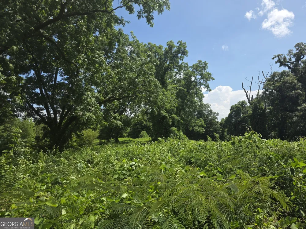0 W Atlanta St Off Tallapoosa, GA 30176