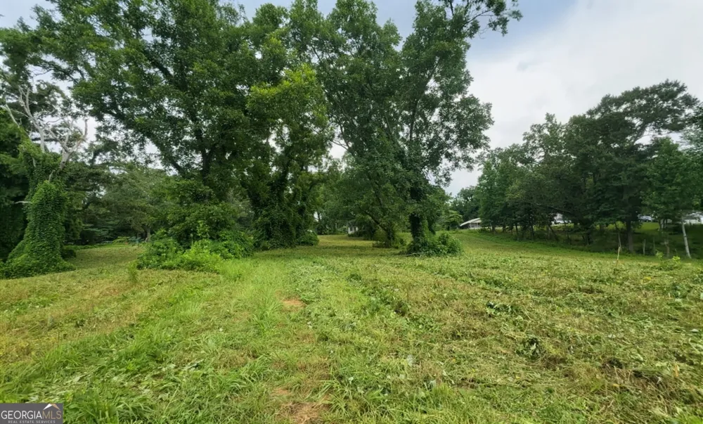 0 W Atlanta St Off Tallapoosa, GA 30176