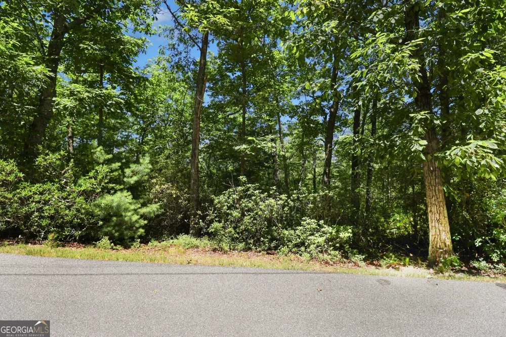 00 - LOT 62 Tallulah View Tallulah Falls, GA 30573