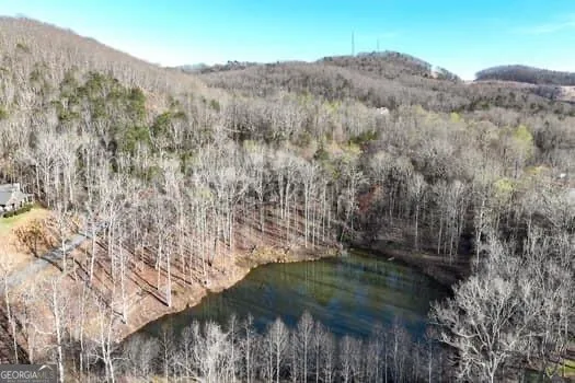 7.39AC Turner Ridge DR Cleveland, GA 30528