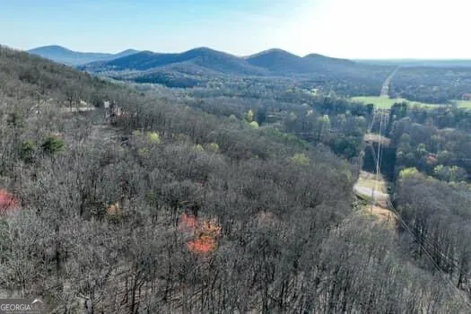 7.39AC Turner Ridge DR Cleveland, GA 30528