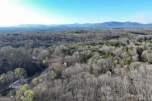 7.39AC Turner Ridge DR Cleveland, GA 30528