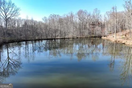 7.39AC Turner Ridge DR Cleveland, GA 30528