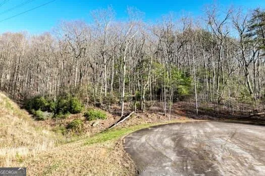 7.39AC Turner Ridge DR Cleveland, GA 30528