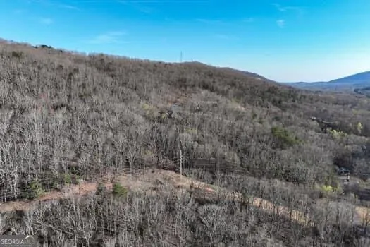 7.39AC Turner Ridge DR Cleveland, GA 30528