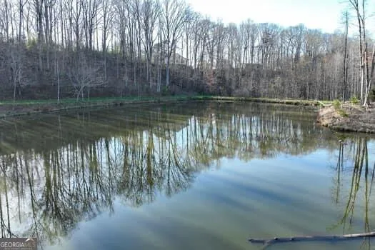 7.39AC Turner Ridge DR Cleveland, GA 30528