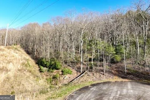 7.39AC Turner Ridge DR Cleveland, GA 30528