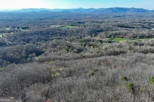 7.39AC Turner Ridge DR Cleveland, GA 30528