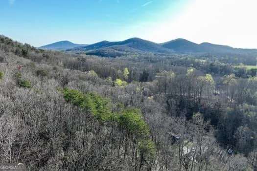 7.39AC Turner Ridge DR Cleveland, GA 30528