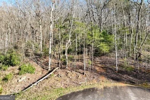 7.39AC Turner Ridge DR Cleveland, GA 30528
