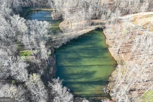 7.39AC Turner Ridge DR Cleveland, GA 30528