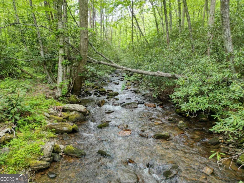 180 Dream Catcher CV Hayesville, NC 28904