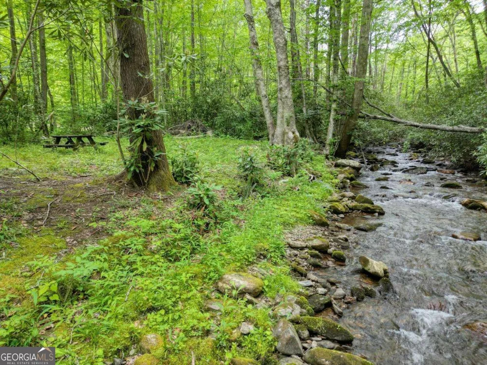 180 Dream Catcher CV Hayesville, NC 28904