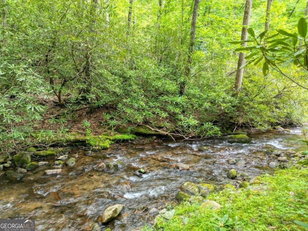 180 Dream Catcher CV Hayesville, NC 28904