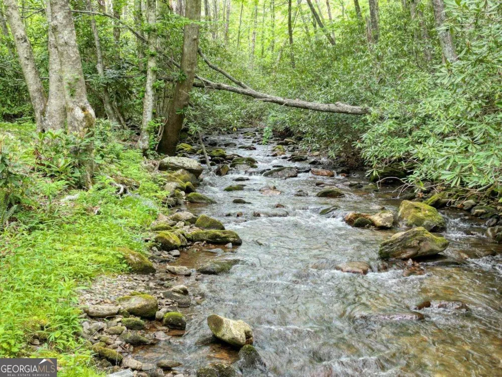 180 Dream Catcher CV Hayesville, NC 28904