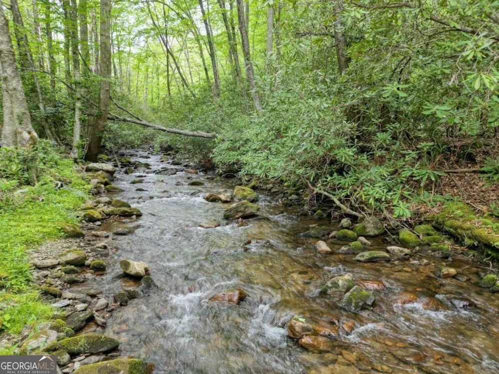 180 Dream Catcher CV Hayesville, NC 28904