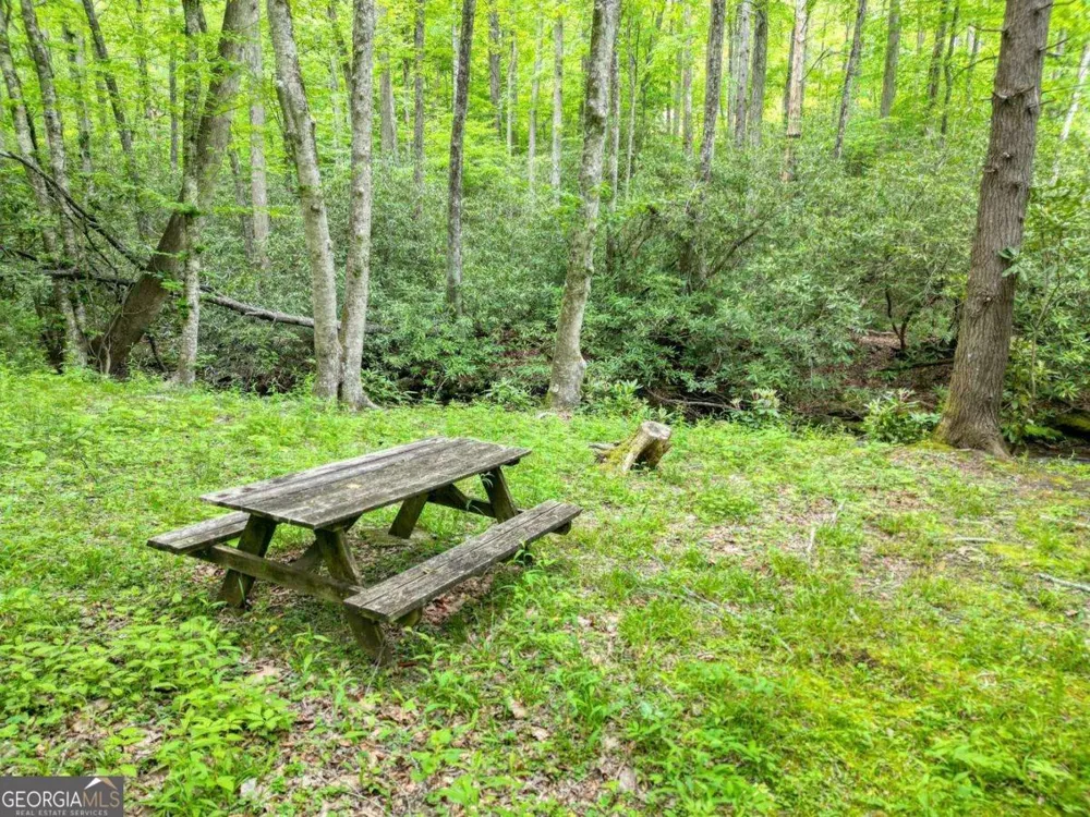 180 Dream Catcher CV Hayesville, NC 28904